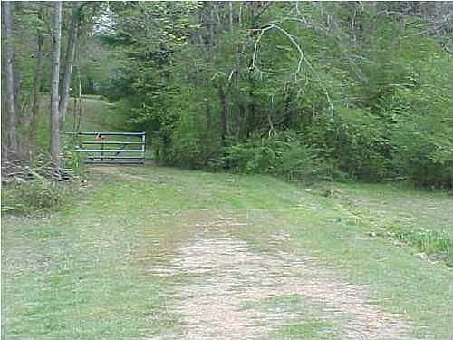 2nd image of 1103 McCluer Rd