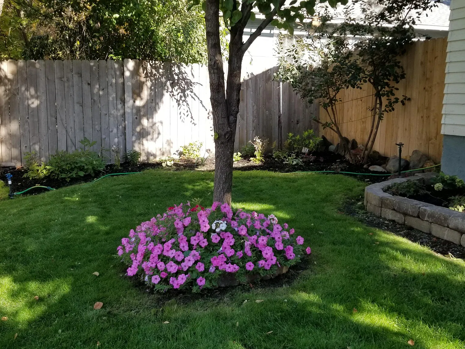4 bed, 1590 sqft, $2,395 — Photo 2