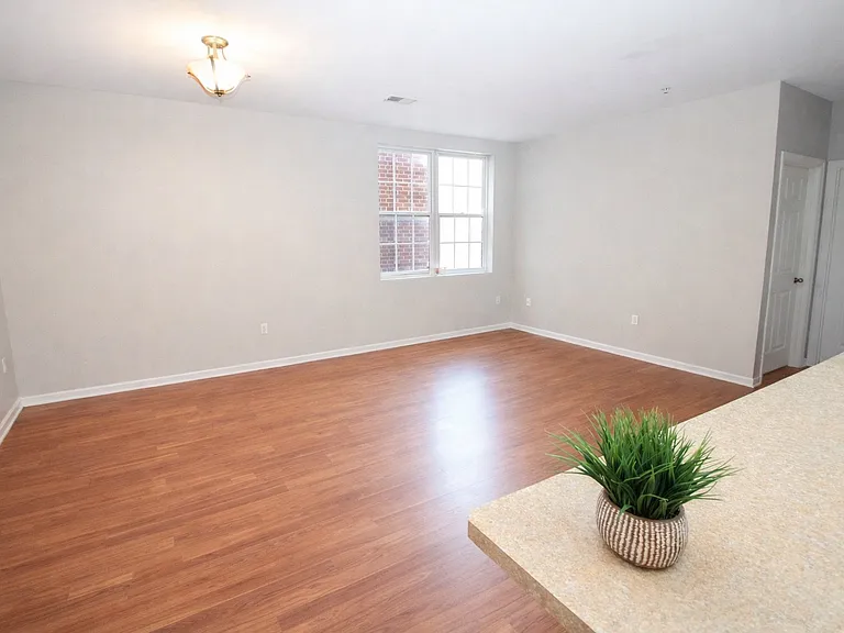 1-Bed/1-Bath (Living Room)