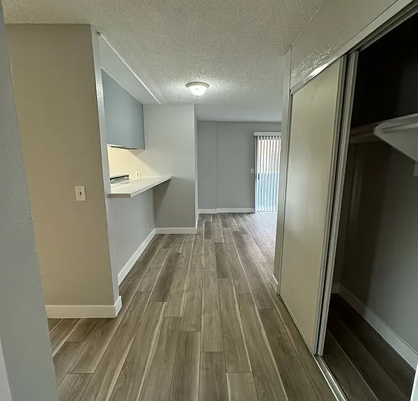 Hallway entrance with large amounts of additional storage.