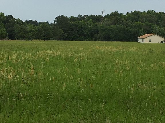 OVERLOOKING PASTURE