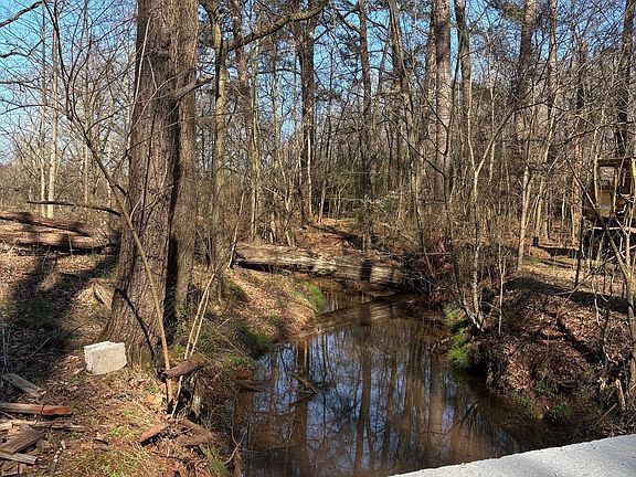 Photo Feb 28 2026 10 47 24 Am