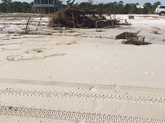 4th image of 391 Gulf Shore Dirve