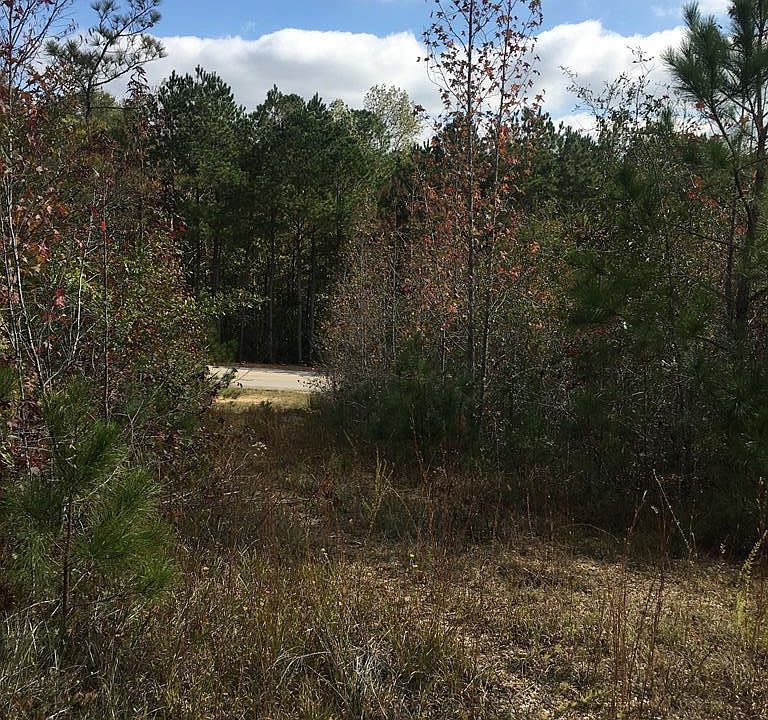 2nd image of 0 State Highway 241