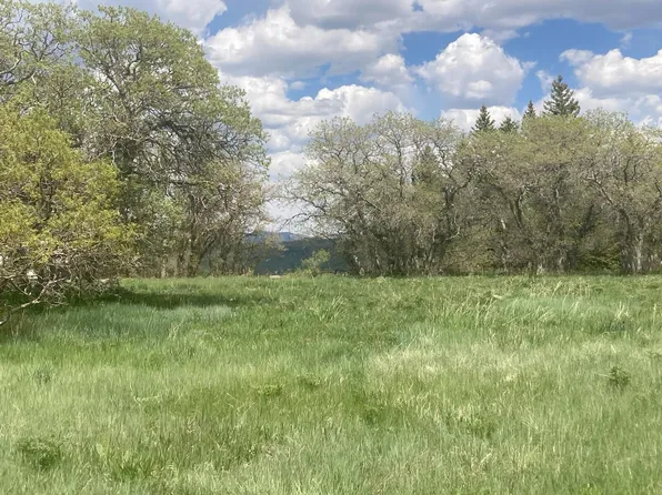 LOT 11 N Barker Rd, Virgin, UT 84779