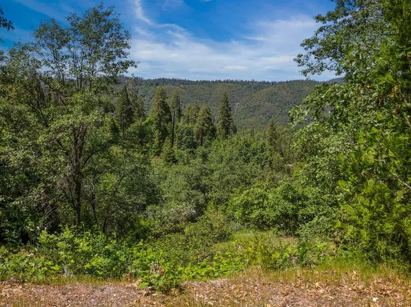 371 Snowberry Ct, Murphys, CA 95247