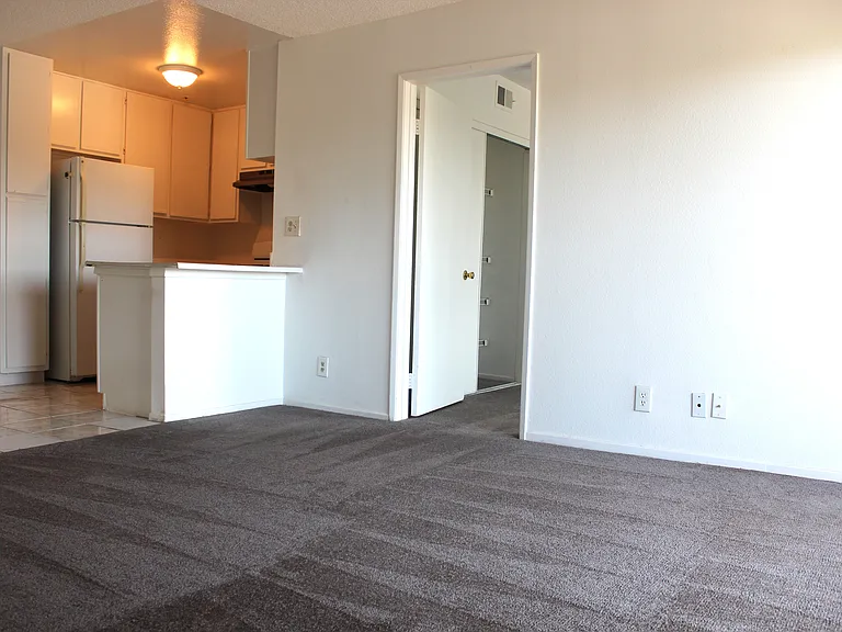 Spacious living room and newly cleaned carpeting.