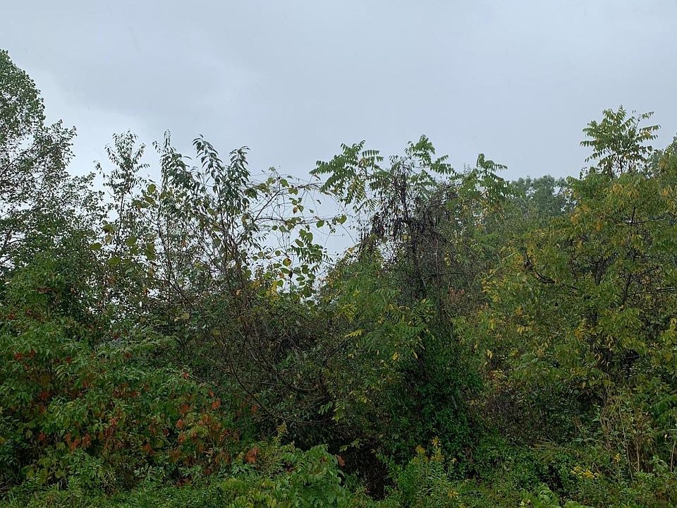 1st image of 0 Pheasant Vw Lot 193