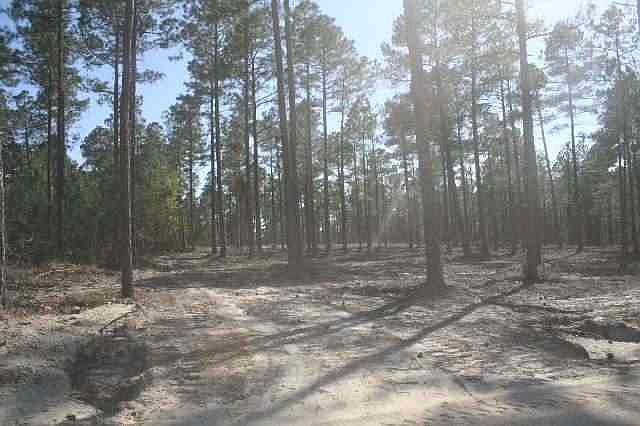 1st image of TBD Tufts Vista LOT 10 - D