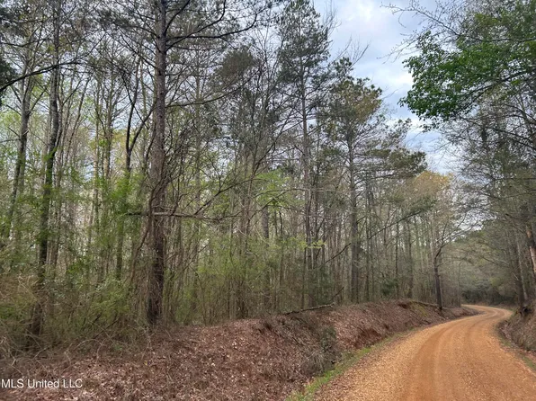 County Road 270, Union, MS 39365