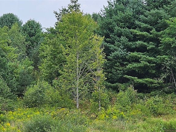 2nd image of 1569 Oakdale Rd
