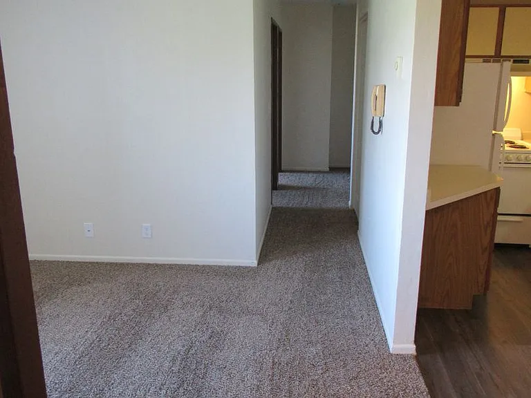 South Pine Apartments — Photo 12