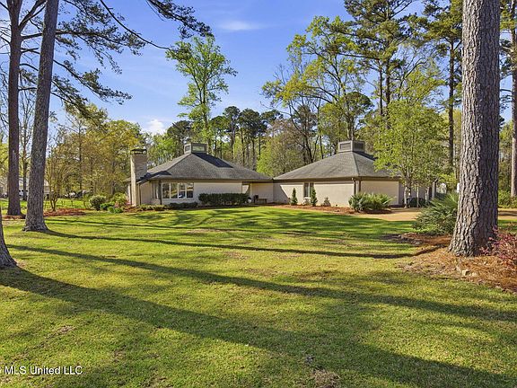 2nd image of 4 Fern Cv