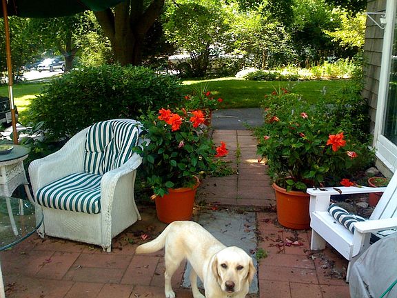 Private yard