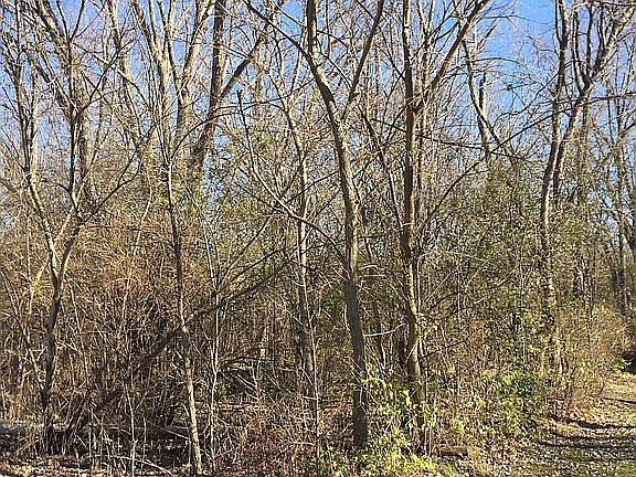 Southwest Corner of lot