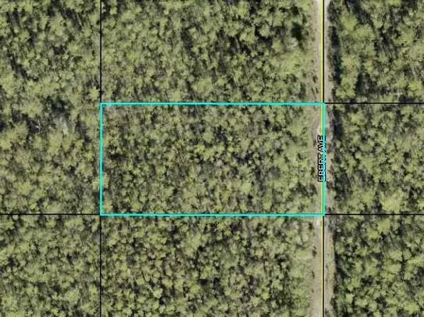 Ebert Ave, Hastings, FL 32145