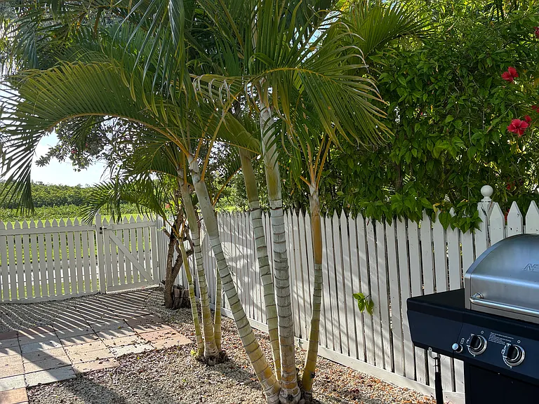 30 Merganser Ln — Photo 9