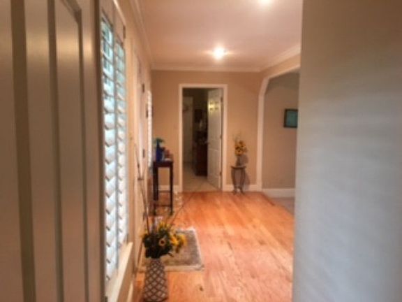 4th image of 1301 Live Oak Ln