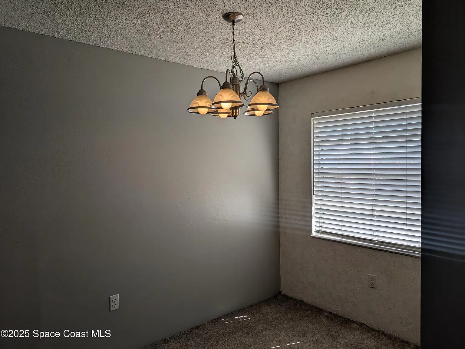 1 bed, 1.0 bath, 602 sqft, $1,200 — Photo 4