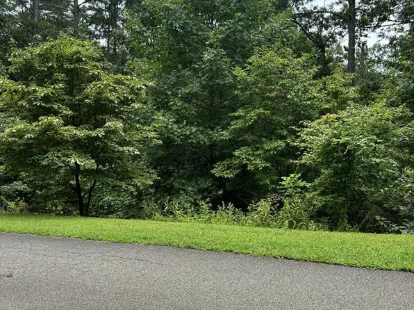 5 N Harris Creek Dr, Ellijay, GA 30540
