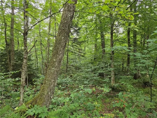 0 William Ernst Rd #3, West Leyden, NY 13489