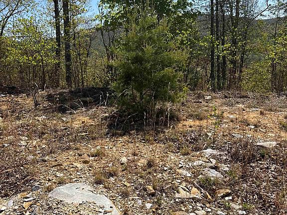 4th image of 5 Fox Ridge Ln