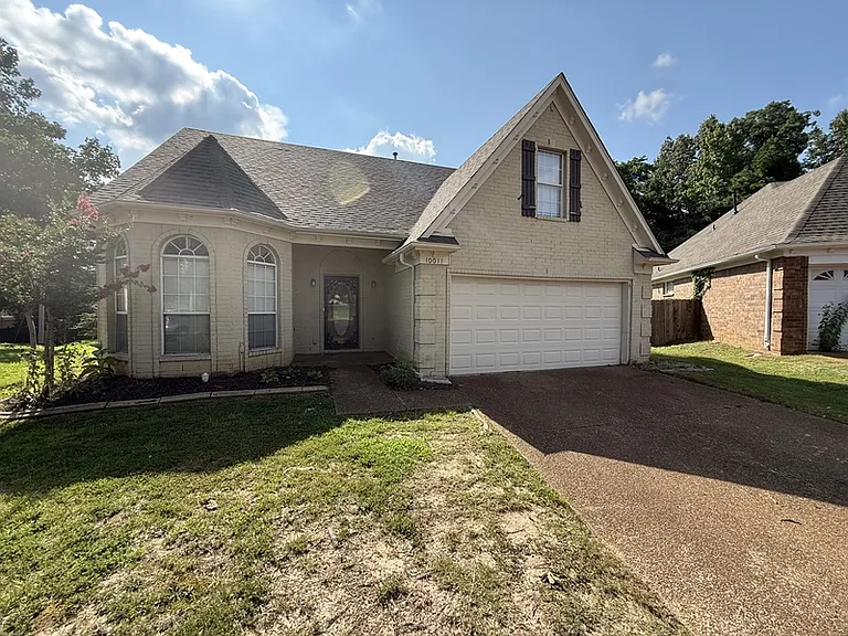 10011 Woodland Pine Cv W — Photo 1