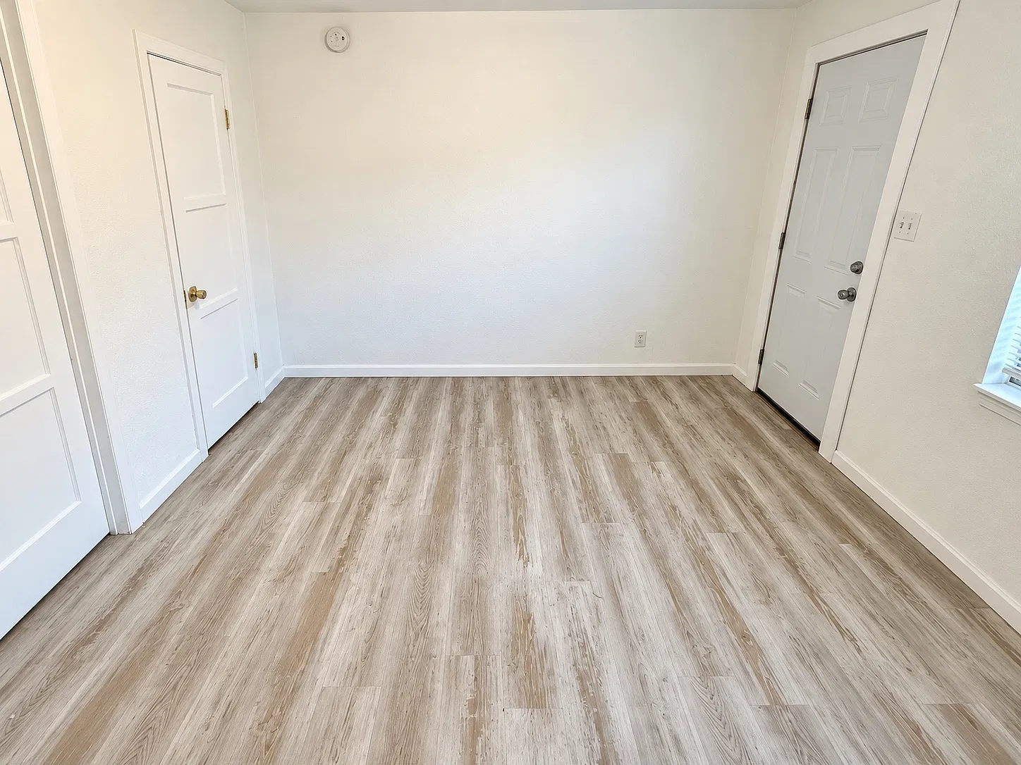 Studio, 250 sqft, $995 — Photo 4