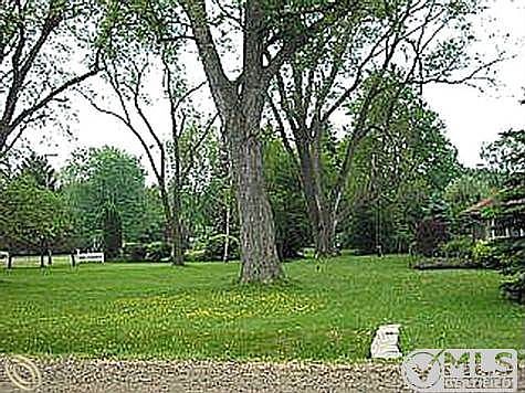 Lg treed lot