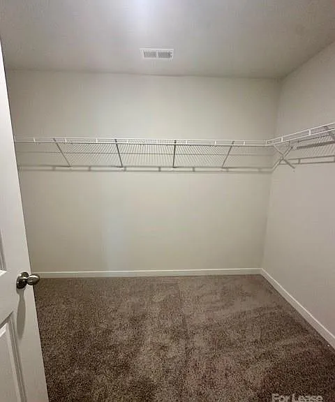 116 Windstone Common Ln — Photo 15
