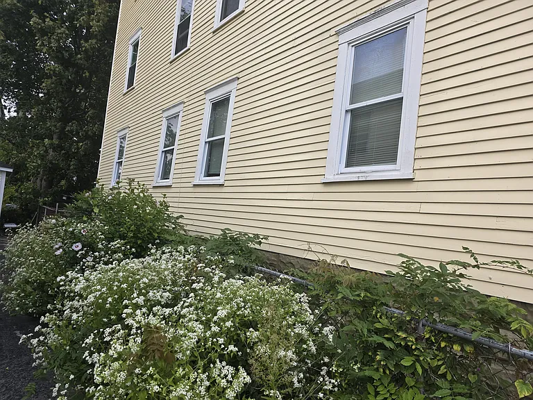 59 Court St #2 — Photo 6