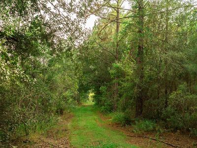 00 NW 42nd Ter, Chiefland, FL, 32626