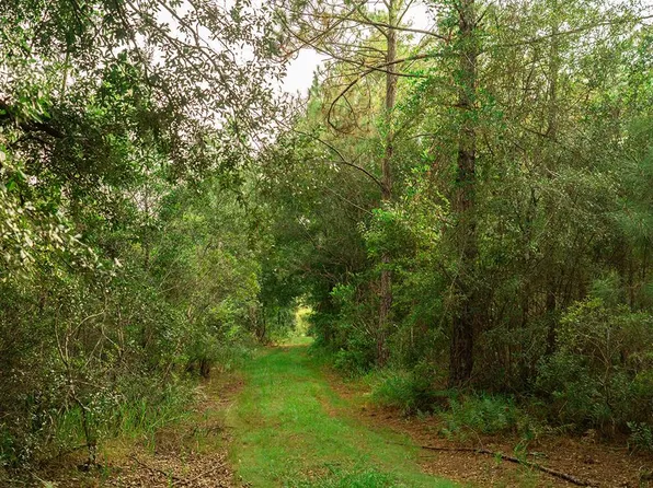 00 NW 42nd Ter, Chiefland, FL 32626