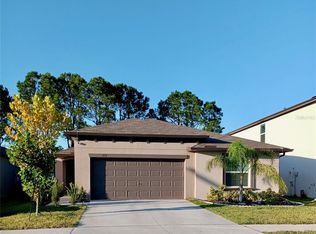 253 Rain Lily Ave, Spring Hill, FL 34609