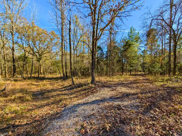 4206 Highway 298, Jessieville, AR 71949