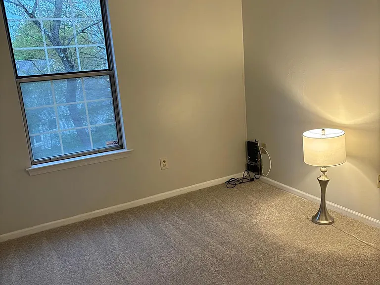 1807 Diamond Dr — Photo 21