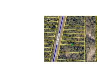 Treiman Blvd, Webster, FL 33597