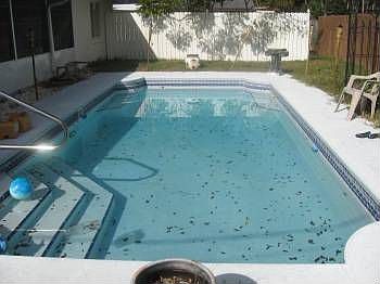 2nd image of 3027 Needle Palm Dr