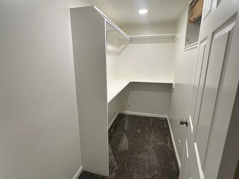 1st downstairs bedroom - Walk in Closet