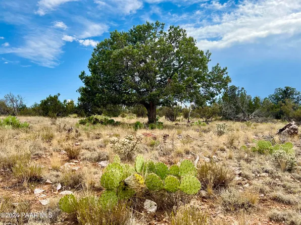 55572 N Bridge Canyon Pkwy, Seligman, AZ 86337