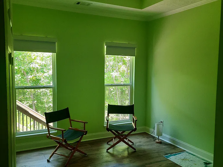 Master Bedroom, windows with forest view and ceiling fans (no it is not painted that green....I did not use a flash). Forest views are calming.