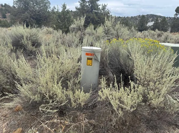 9-1 Riverside Dr Lot 174, Weed, CA 96094