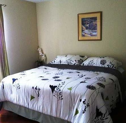 3rd image of 1211 Stonecutter Dr APT 305