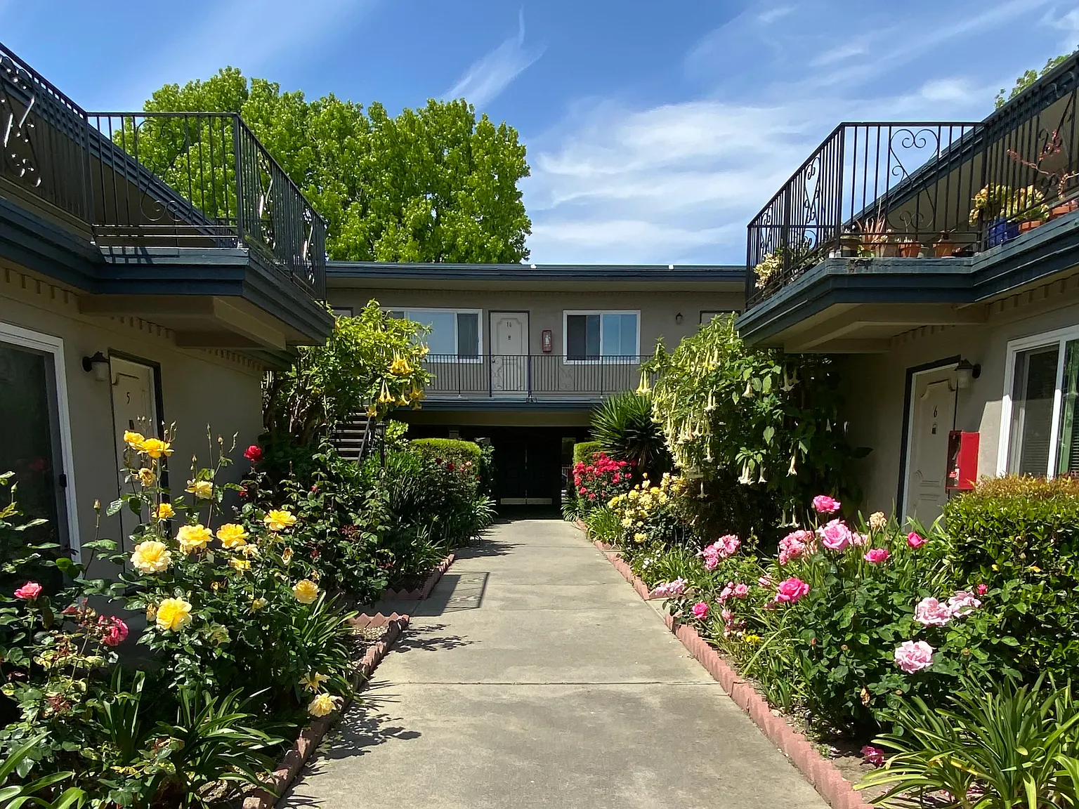 Colonial House Apartments — Photo 1