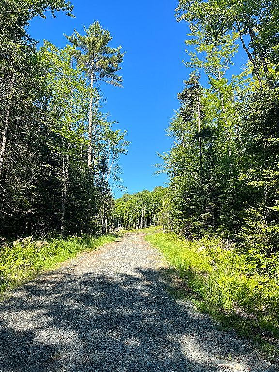 5128 Shadow Lake Rd, Concord, VT 05824 Zillow