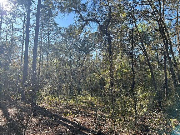 4th image of 3968 N Indianhead Rd Lot 35