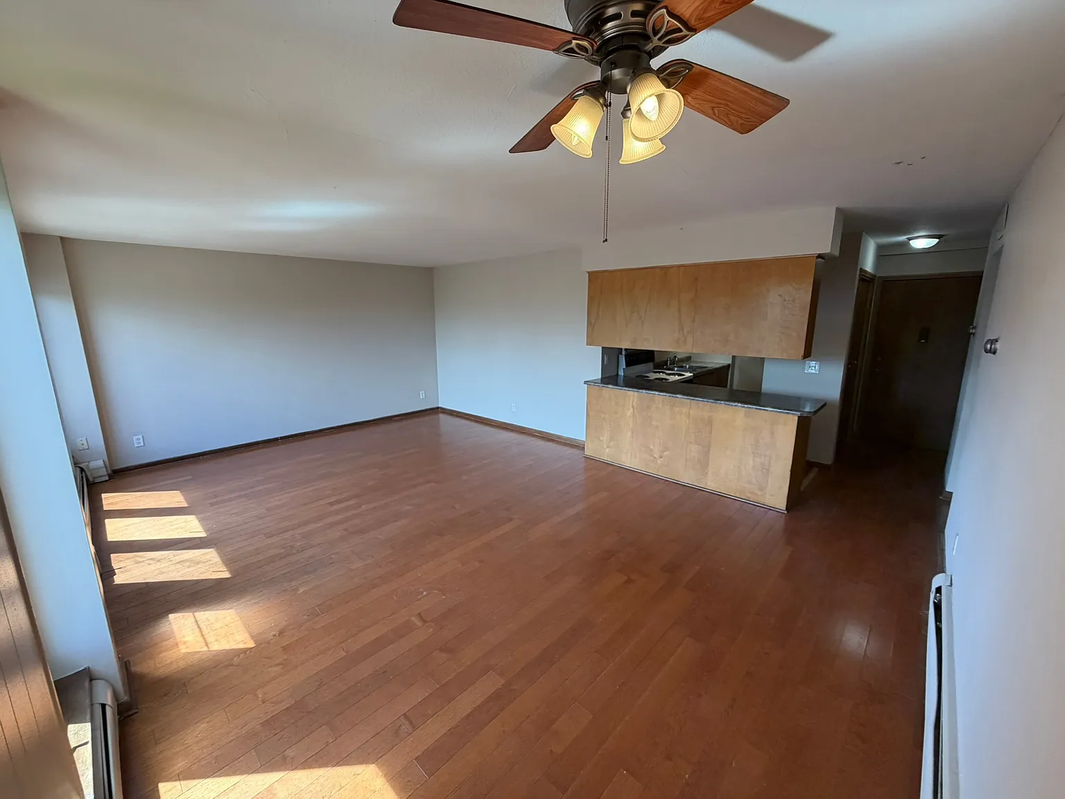 1 bed, 700 sqft, $1,250 — Photo 2