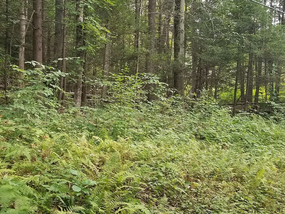 2nd image of 00 Stockburger Road