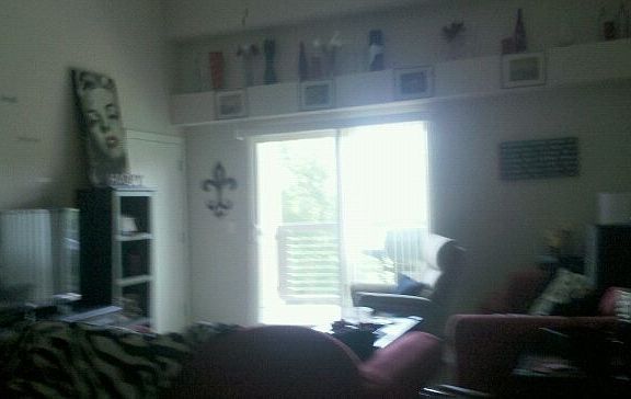 Living room with 15' ceilings