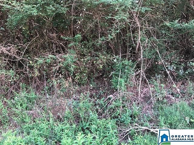 1st image of 5909 Norway Ave Lot 1